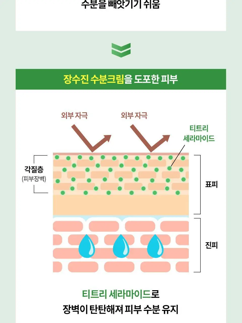 [속보습/30층/100시간] 아이소이 모이스춰 닥터 장수진 수분크림 70ml 기획(+수분앰플 10ml) 상세페이지 12